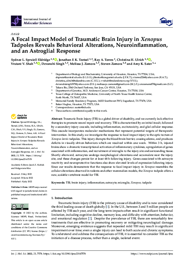 (PDF) A Focal Impact Model of Traumatic Brain Injury in Xenopus ...