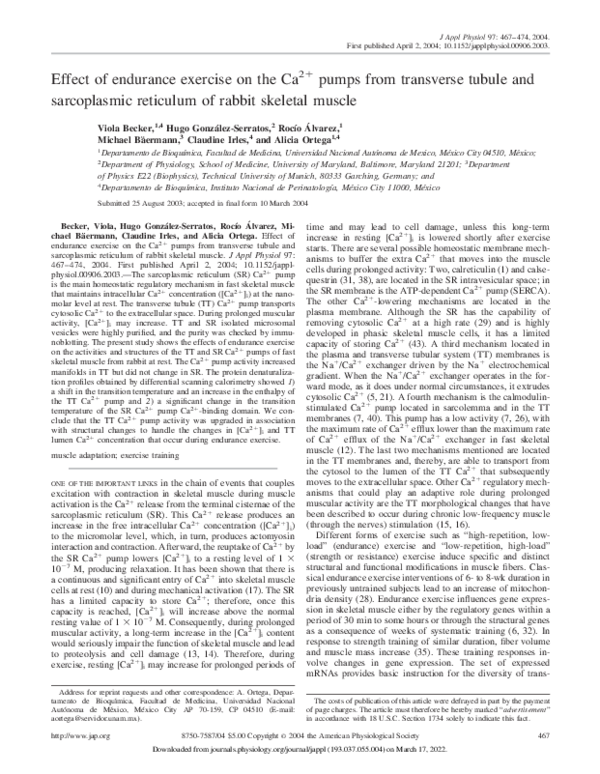 (PDF) Effect of endurance exercise on the Ca2+ pumps from transverse ...
