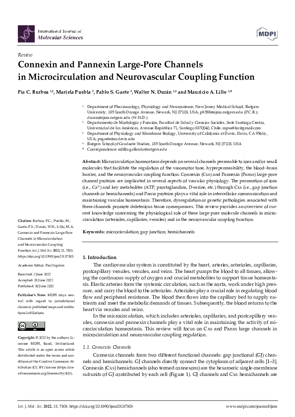 (PDF) Connexin and Pannexin Large-Pore Channels in Microcirculation and ...