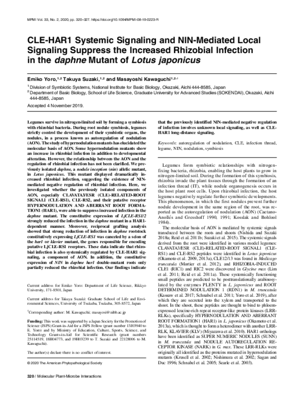 (PDF) CLE-HAR1 Systemic Signaling and NIN-Mediated Local Signaling ...