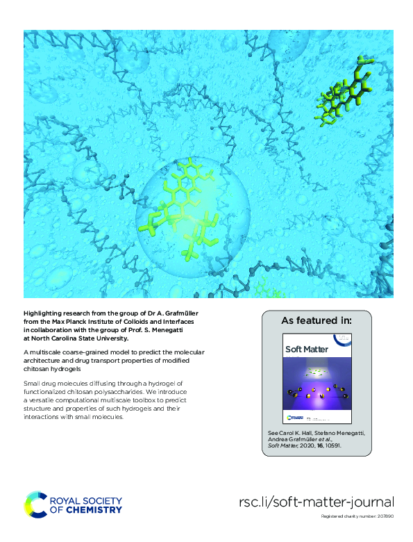 (PDF) A multiscale coarse-grained model to predict the molecular ...