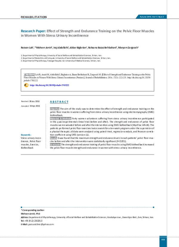 (PDF) Paper : Effect of Strength and Endurance Training on the Pelvic ...