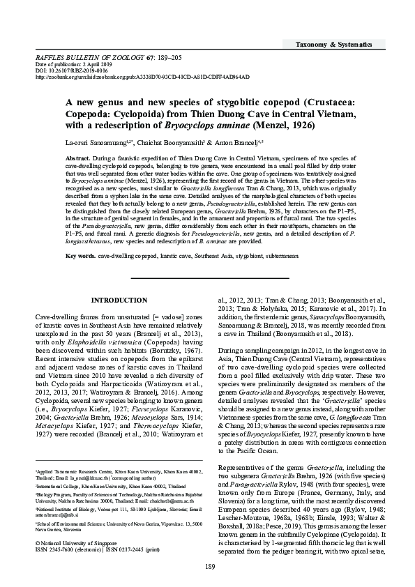 (PDF) A new genus and new species of stygobitic copepod (Crustacea ...