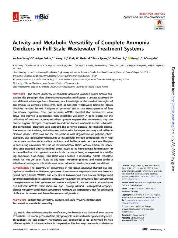 (PDF) Activity and Metabolic Versatility of Complete Ammonia Oxidizers