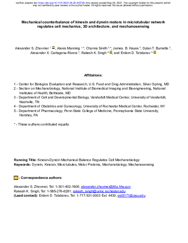 Mechanical Counterbalance of Kinesin and Dynein Motors in a ...