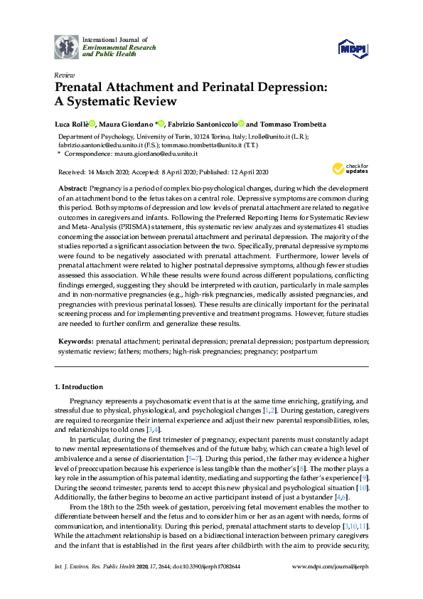 (PDF) Prenatal Attachment and Perinatal Depression: A Systematic Review
