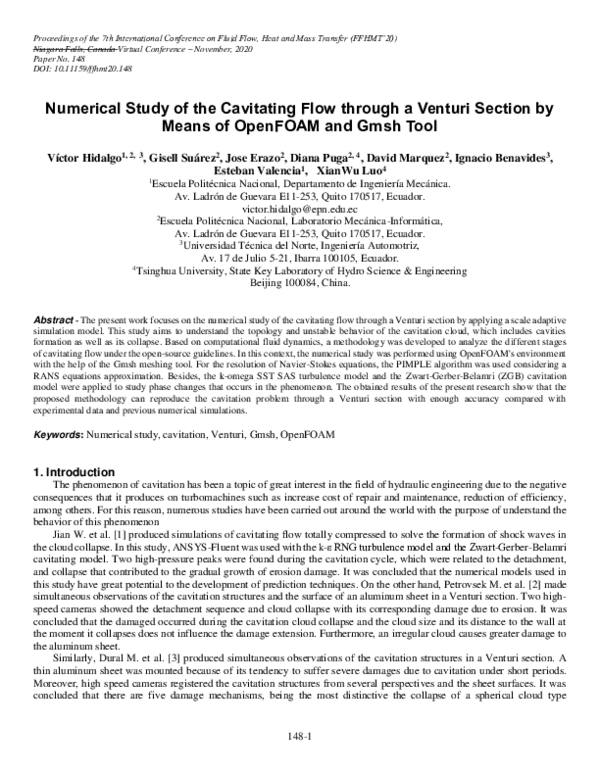 (PDF) Numerical Study of the Cavitating Flow through a Venturi Section ...