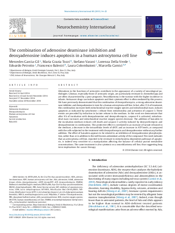 (PDF) The combination of adenosine deaminase inhibition and ...