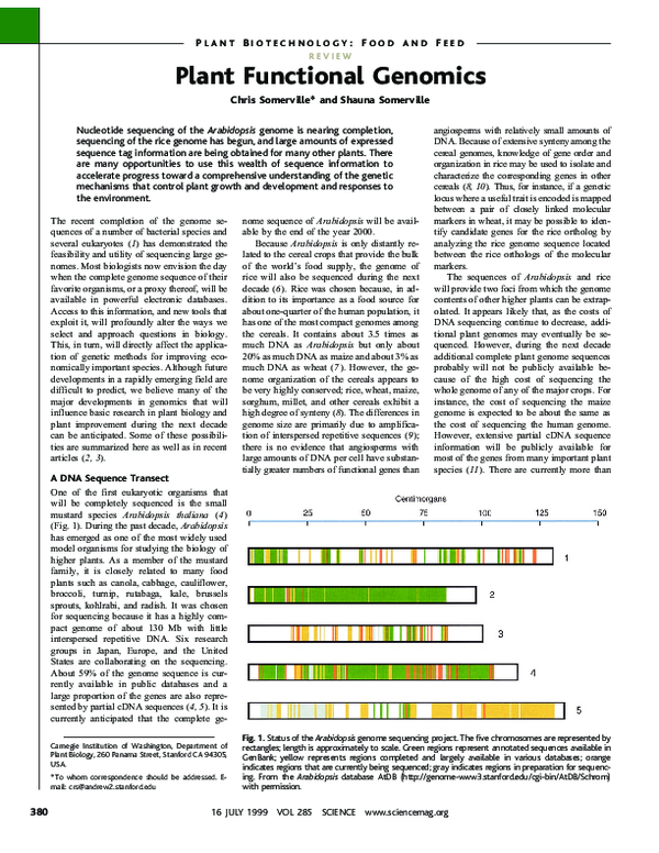 (PDF) Plant Functional Genomics