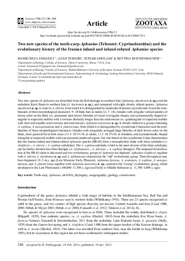 (PDF) Two new species of the tooth-carp Aphanius (Teleostei ...