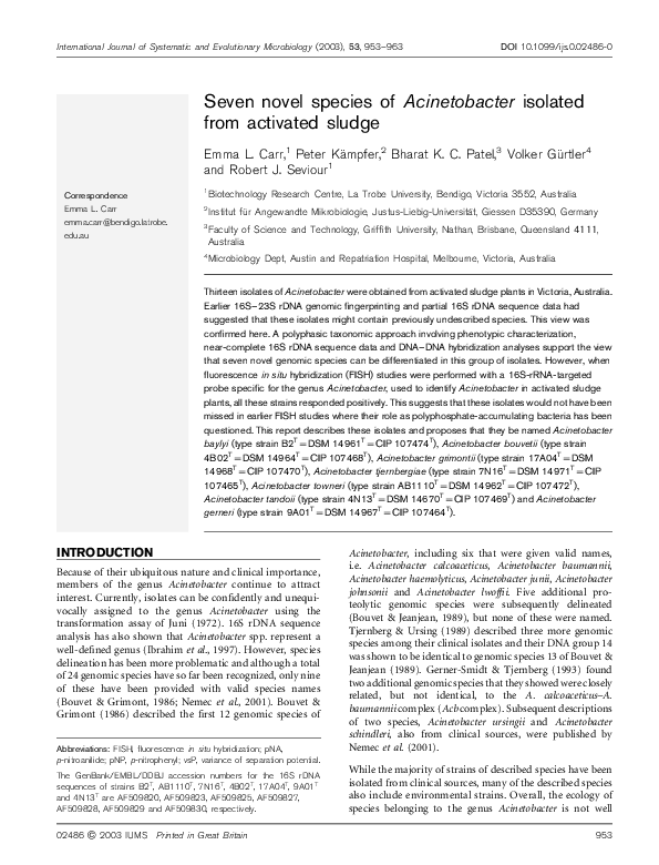 (PDF) Seven novel species of Acinetobacter isolated from activated sludge
