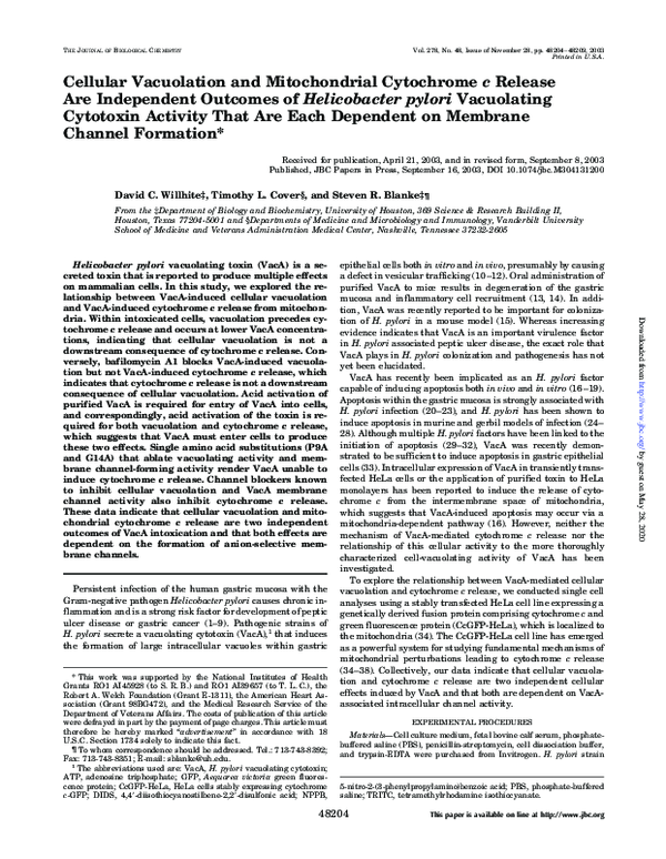 (PDF) Cellular Vacuolation and Mitochondrial Cytochrome c Release Are ...