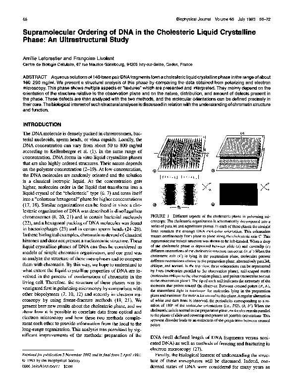 (PDF) Supramolecular ordering of DNA in the cholesteric liquid ...