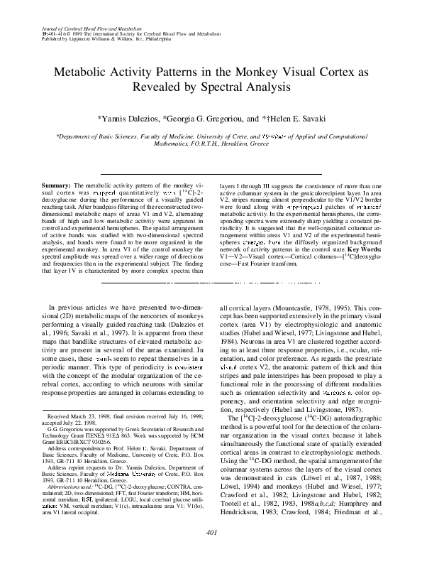 (PDF) Metabolic Activity Patterns in the Monkey Visual Cortex as ...