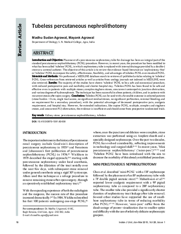 (PDF) Tubeless percutaneous nephrolithotomy