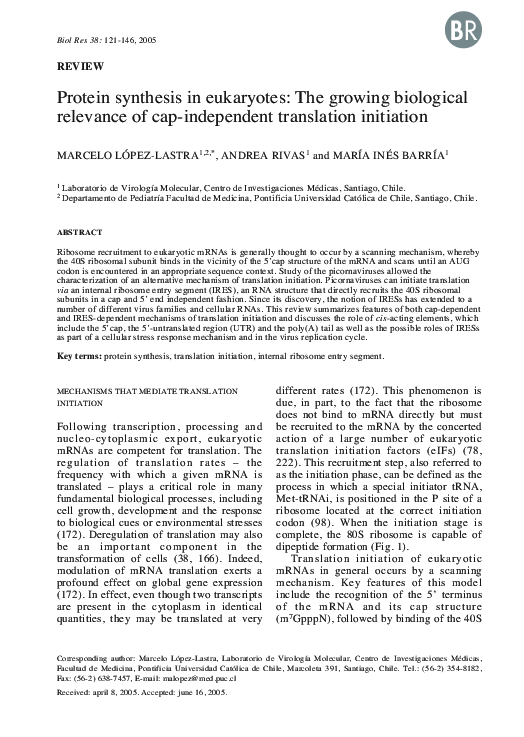 (PDF) Protein synthesis in eukaryotes: The growing biological relevance ...