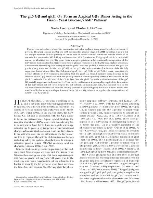 The git5 Gβ and git11 Gγ Form an Atypical Gβγ Dimer Acting in the ...