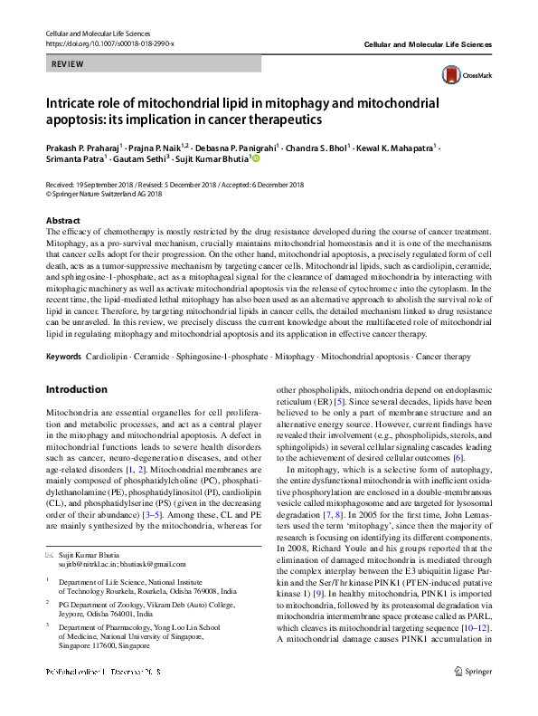 (PDF) Intricate role of mitochondrial lipid in mitophagy and ...