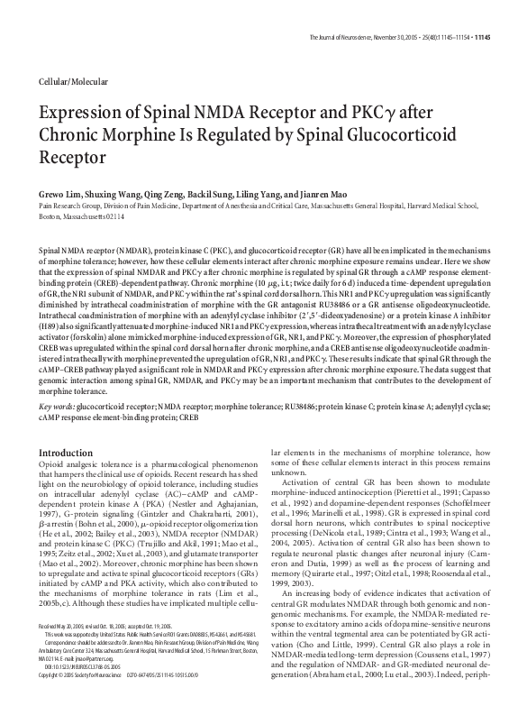 (PDF) Expression of Spinal NMDA Receptor and PKC after Chronic Morphine ...