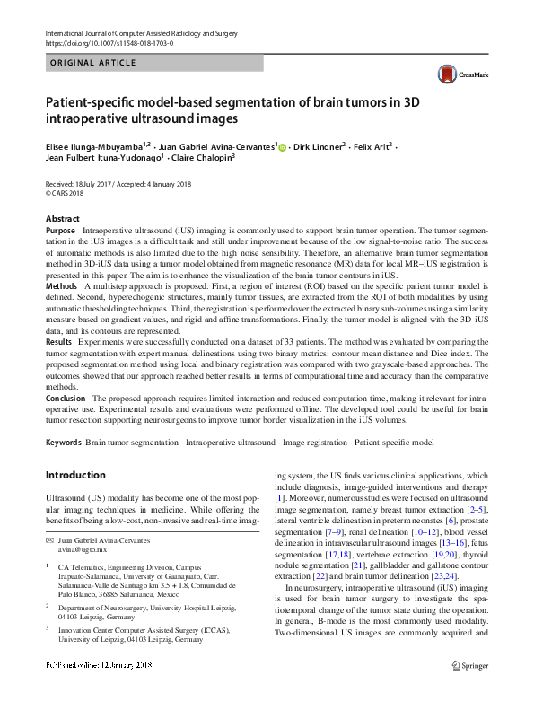 (PDF) Patient-specific model-based segmentation of brain tumors in 3D ...