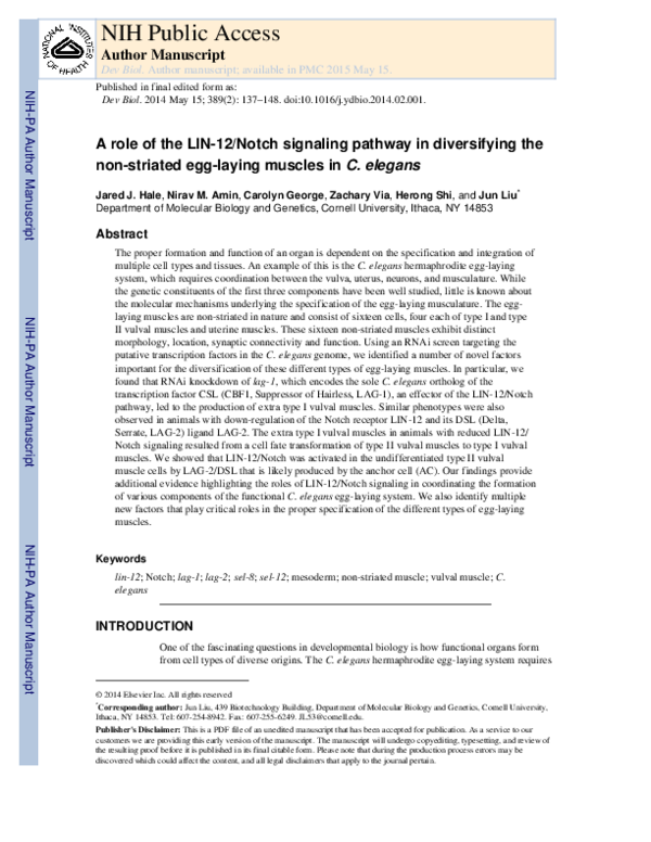 (PDF) A role of the LIN-12/Notch signaling pathway in diversifying the ...