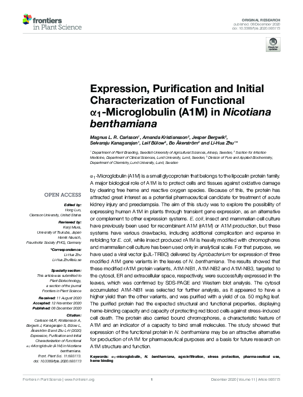 (PDF) Reply to Amyotrophic Lateral Sclerosis and Palatal Myoclonus: An ...