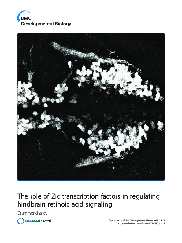 (PDF) Zic Factors and Hindbrain Retinoic Acid Signaling