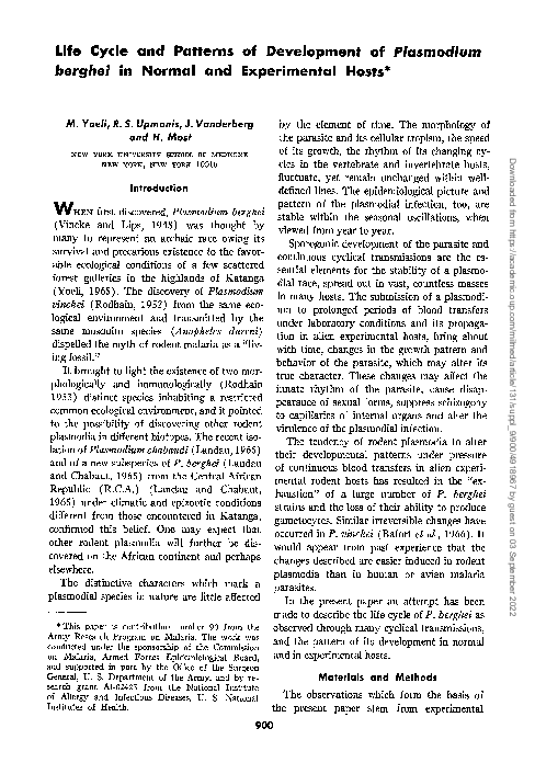 (PDF) Life Cycle and Patterns of Development of Plasmodium berghei in ...