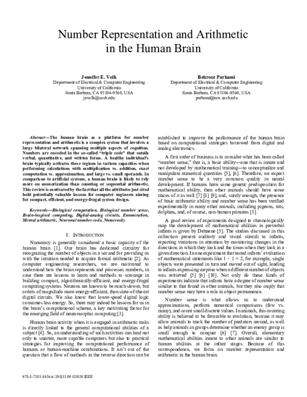 (PDF) Number Representation and Arithmetic in the Human Brain