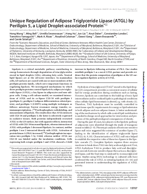 (PDF) Unique regulation of adipose triglyceride lipase (ATGL) by ...