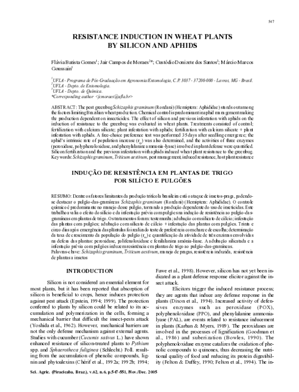 (PDF) Resistance induction in wheat plants by silicon and aphids