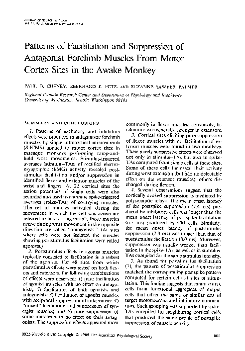 (PDF) Patterns of facilitation and suppression of antagonist forelimb ...