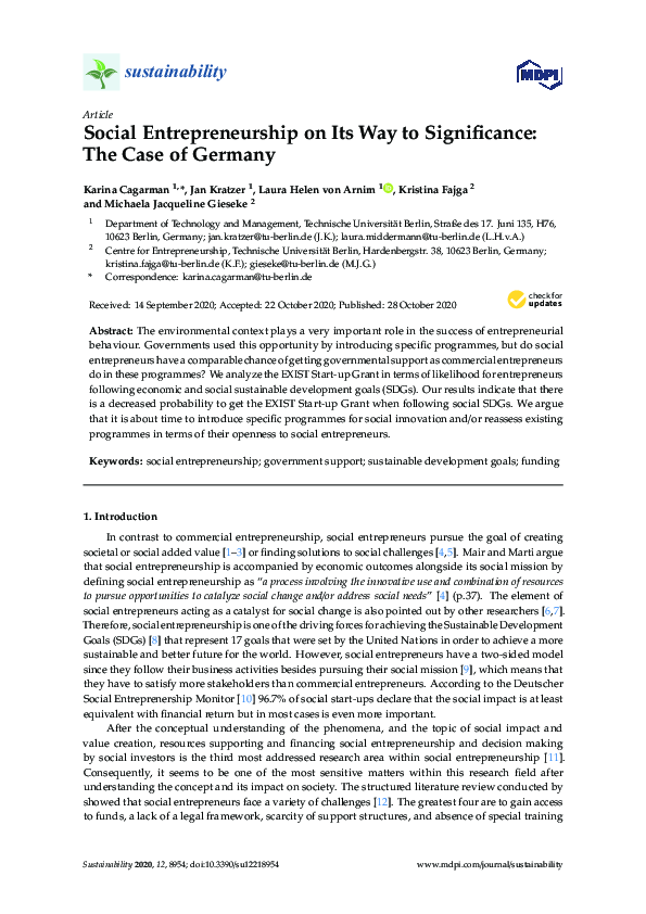(PDF) Social Entrepreneurship on Its Way to Significance: The Case of ...