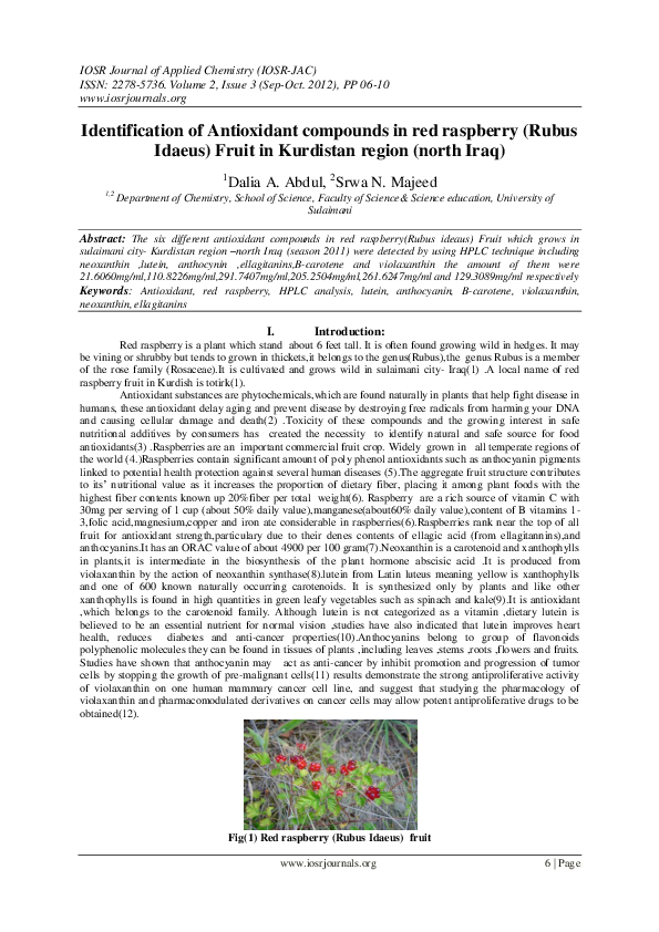 (PDF) Identification of Antioxidant compounds in red raspberry (Rubus ...