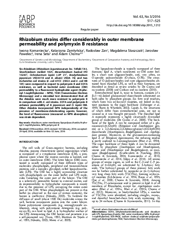 (PDF) Rhizobium strains differ considerably in outer membrane ...