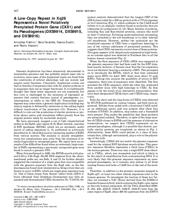 (PDF) A Low-Copy Repeat in Xq26 Represents a Novel Putatively ...
