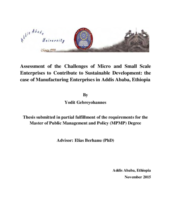 (PDF) Assessment of the Challenges of Micro and Small Scale Enterprises ...