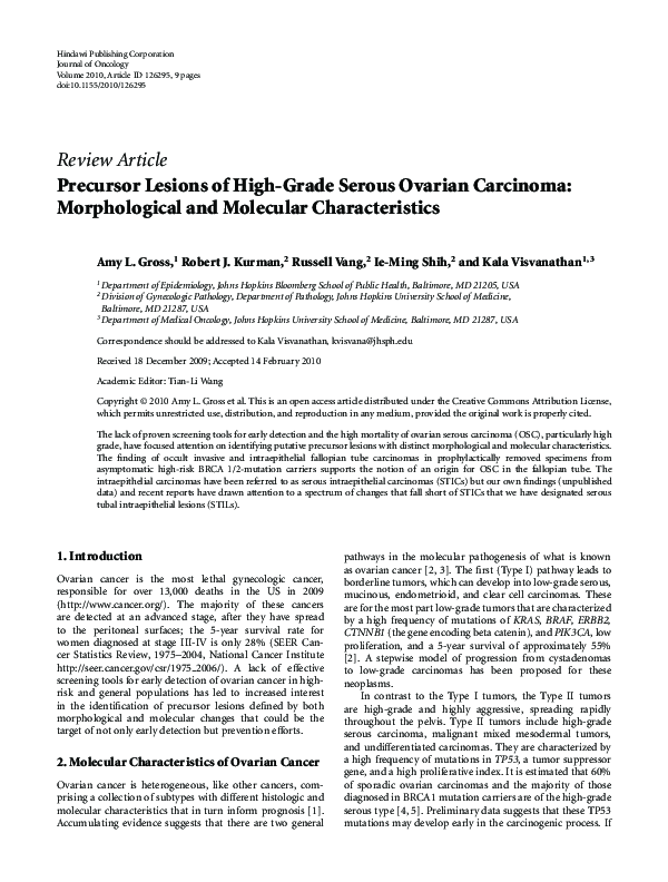 (PDF) Precursor Lesions of High-Grade Serous Ovarian Carcinoma ...