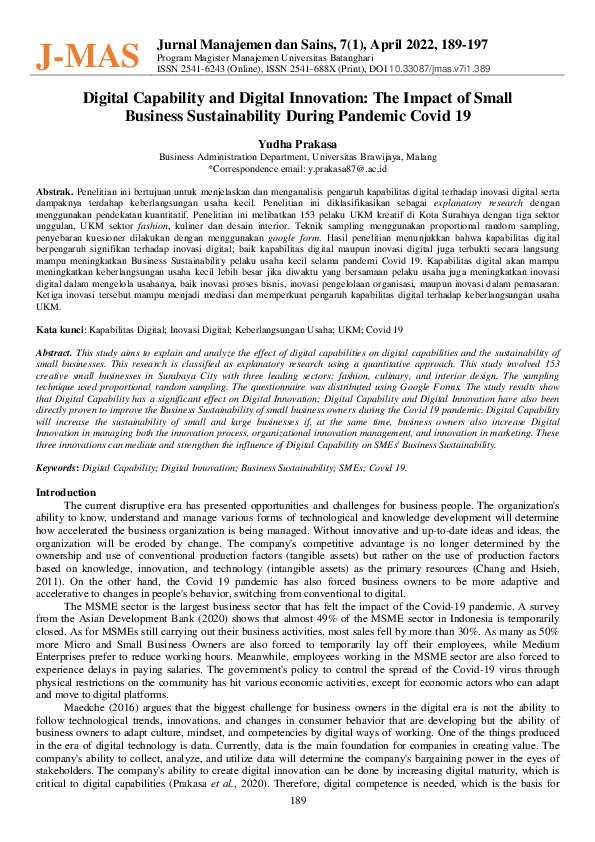 (PDF) Digital Capability and Digital Innovation: The Impact of Small ...