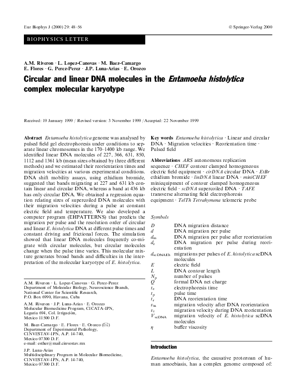 (PDF) Circular and linear DNA molecules in the Entamoeba histolytica ...