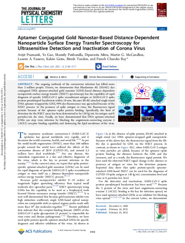 (PDF) Aptamer Conjugated Gold Nanostar-Based Distance-Dependent ...