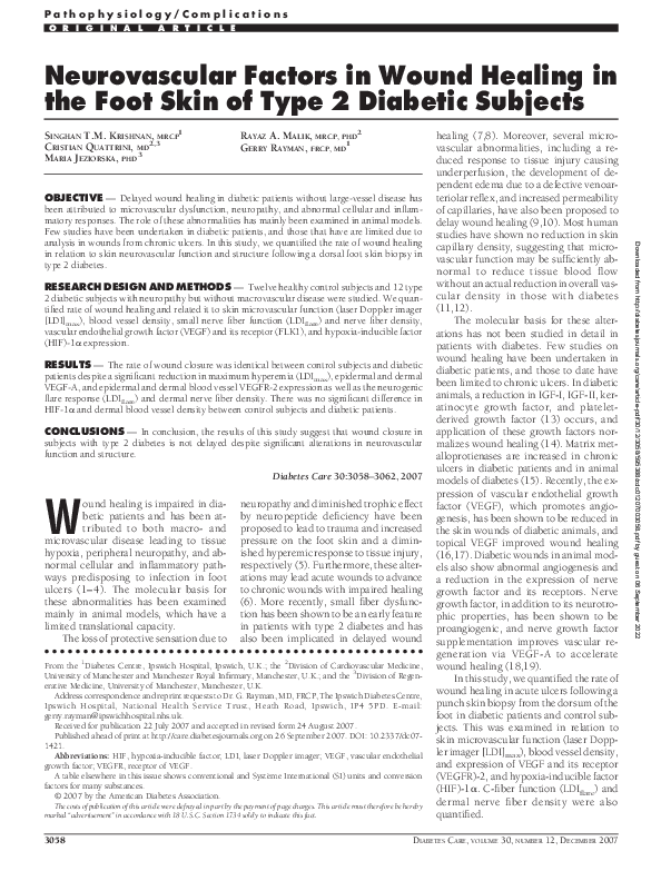 (PDF) Neurovascular Factors in Wound Healing in the Foot Skin of Type 2 ...