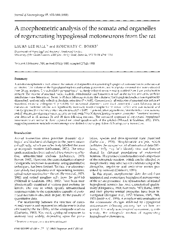 (PDF) A morphometric analysis of the somata and organelles of ...