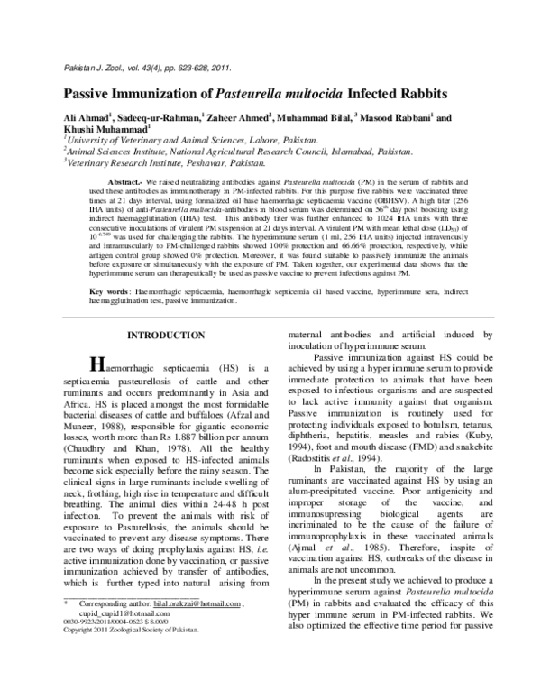(PDF) Passive Immunization of Pasteurella multocida Infected Rabbits