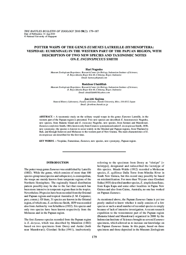 (PDF) Potter Wasps Of The Genus Eumenes Latreille (Hymenoptera ...