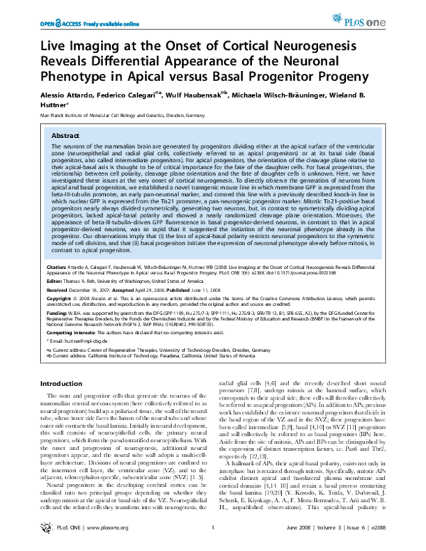 (PDF) Live Imaging at the Onset of Cortical Neurogenesis Reveals ...