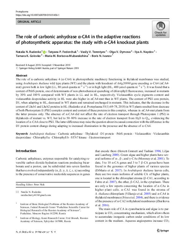 (PDF) The role of carbonic anhydrase α-CA4 in the adaptive reactions of ...
