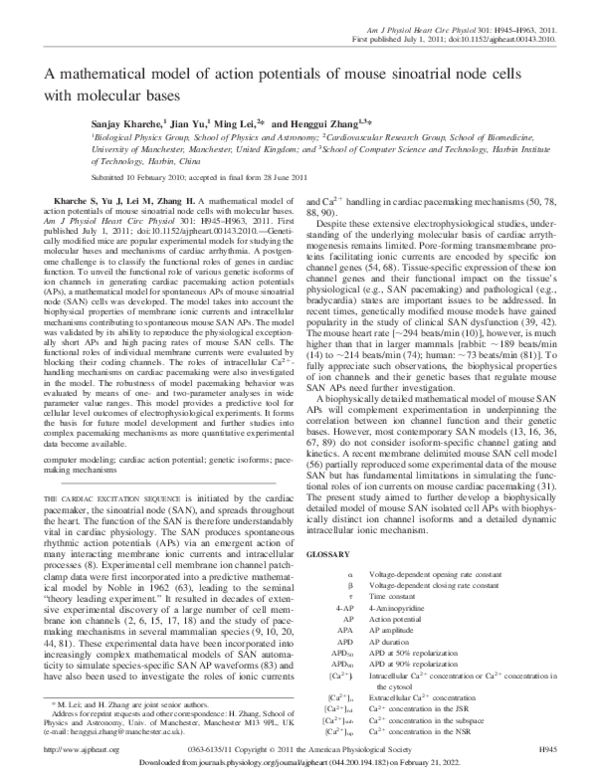 (PDF) A mathematical model of action potentials of mouse sinoatrial ...