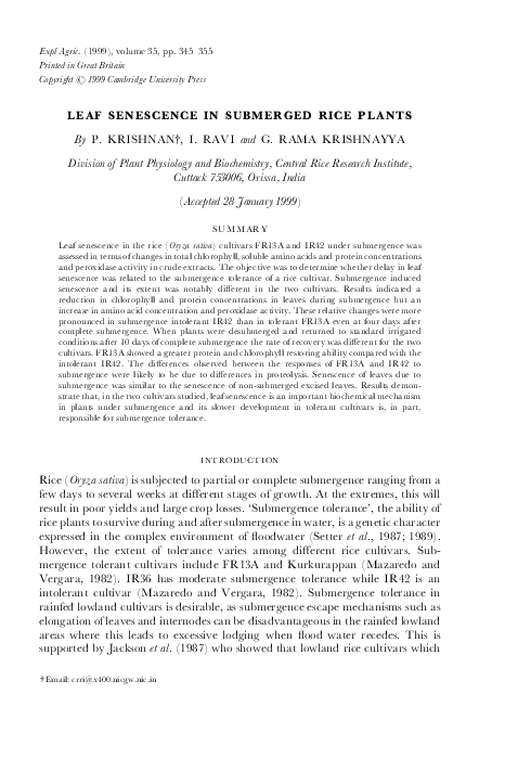 (PDF) Leaf Senescence in Submerged Rice Plants