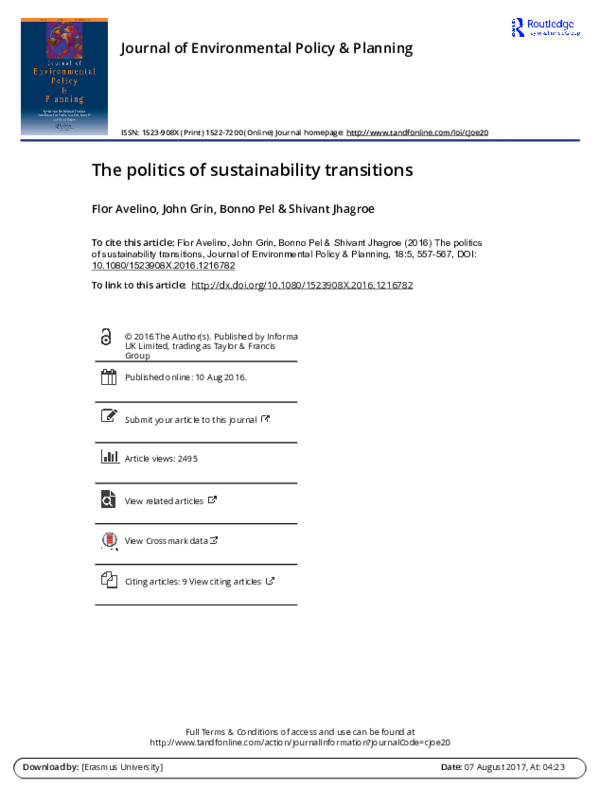 (PDF) The politics of sustainability transitions